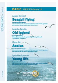 Basic Series Volume 10