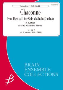Chaconne from J.S. Bach Partita II for Solo Violin in D minor